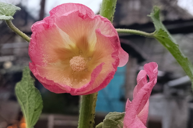 �� ��������� � ���� � ��������� �������� ������