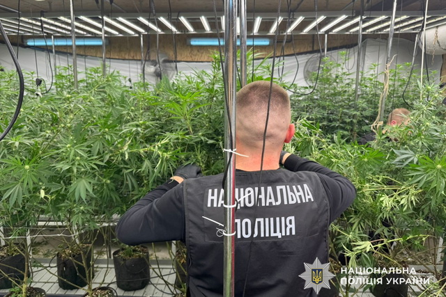 �������� ����� �� ���������������: � ����� ��������� ������� ������� �� ����������� ����������� ��������