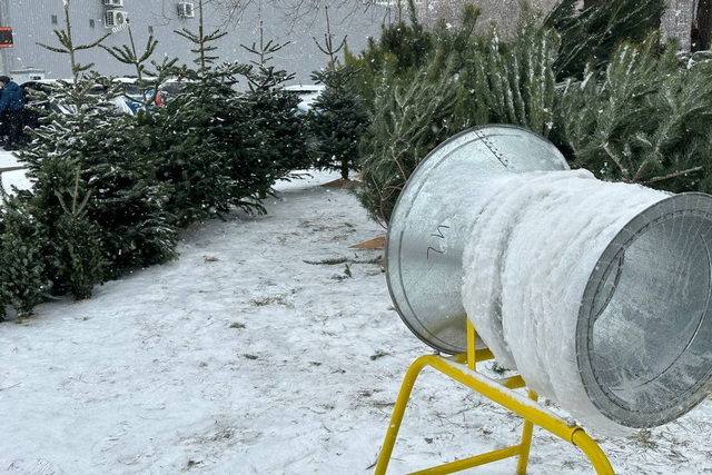 �� 8 ����� �� ������: � ����� ���� �� ������ ���� ������� 