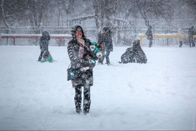 ������������ �� ���������: ������� ���� �� ������ ����