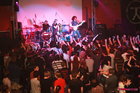 Animal Jazz /  /  (-)