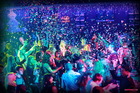 Homer Software House Party (����-���)