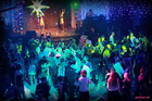 Homer Software House Party (����-���)